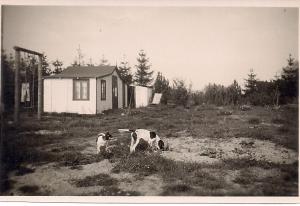 Solrød Strandvej 84 - 1934
